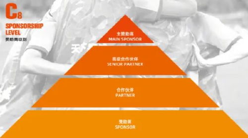 山東泰山開(kāi)放冠名權(quán)招商，開(kāi)啟品牌合作新篇章